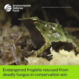 15K views · 381 reactions |  London Zoo announced on Monday that...