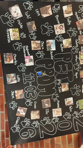 Adorable Pet Prom Featuring Dogs and Cats