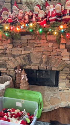 The Shabby Tree on Reels