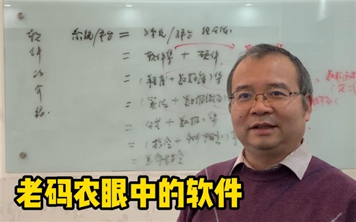 老码农眼中的软件