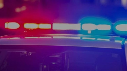 Fact Check Team: More than 1 in 4 violent crimes now involve a domestic relationship