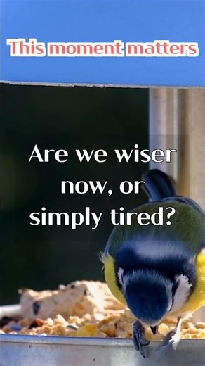 The Weight of Choices: Embrace Reflection