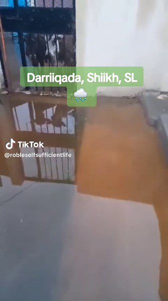 Roob baa beertayda dilaayo#rainseason #beertayda #foodsecurity #somalitiktok #somaliland #sustainability