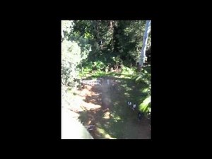 Mapleton Giant Swing