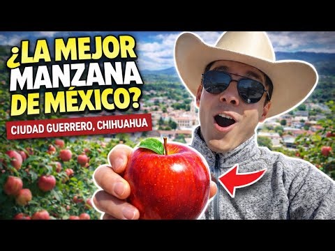 🔥 The city with the best apples in Mexico 🍎 | This is Ciudad Guerrero