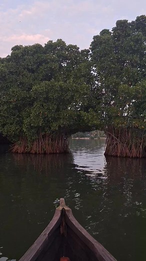 1.5K views · 108 reactions | जागतिक पातळीवर पर्यटन मानबिंदू ठरलेले ठिकाण हे मंडरो बेटावरील. | Sukhadeo Kale | Facebook