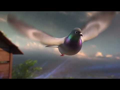 pigeon's magnetoreception