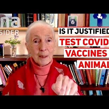 Animal Testing And COVID-19 Vaccine: Conservationist Jane Goodall