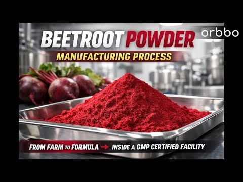 How Beetroot Powder Is Made | Organic Beetroot Powder Manufacturing Process