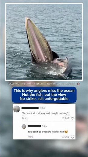 No Catch, But This Is Why Anglers Go Offshore‼️