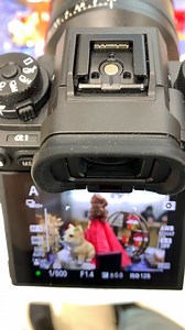 Sony Alpha 1 索尼a1 35