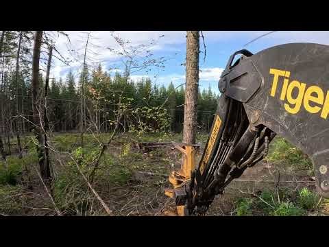 Back cutting on our state sale!