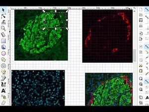 How to crop in inkscape youtube