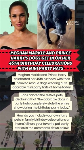 🐶 Meghan's Dogs Wear Mini Hats for 45th Bday! 🎉