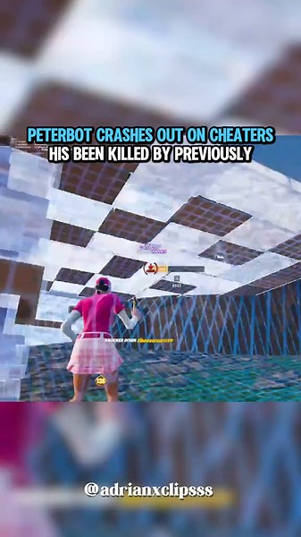 Peterbot Confronts Cheaters in Fortnite Gameplay