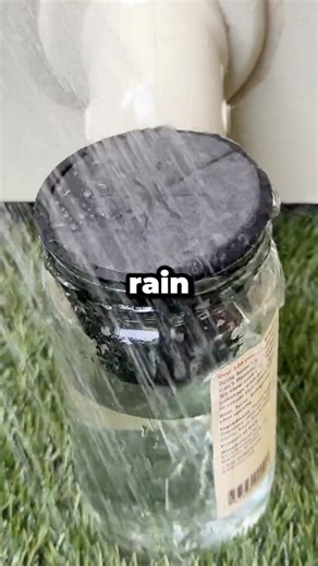 Can Cloning Collars Protect Hydroponics From Rain? #shorts