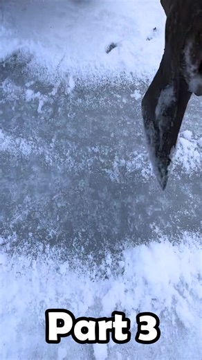 Building a Cozy and Secret Dugout with a Warm Bed and Heated Floor _ Winter Survival, Bushcraft - part 3 bushcraft survival camping bushcraft shelter shelter camp bushcraft skills bushcraft survival bushcraft camp survival skills solo camping outdoors survival shelter winter camping hiking cooking rain off grid living bushcraft camping asmr off grid forest cooking fishing log cabin building solo survival underground house living off grid forest fireplace survival videos wood 7 days solo survival