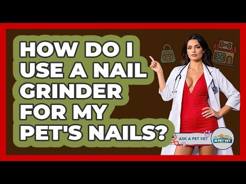 How Do I Use A Nail Grinder For My Pet's Nails? - Ask A Pet Vet