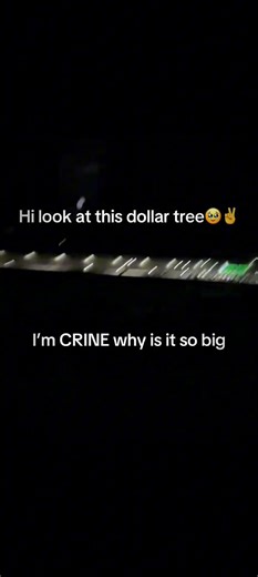 I'm crine why is this Dollar tree store so BIG