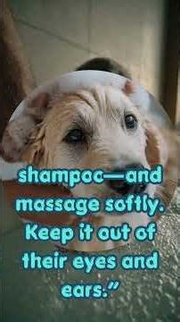 Are You Bathing Your Puppy WRONG? 🛁🐶 Do This Instead!