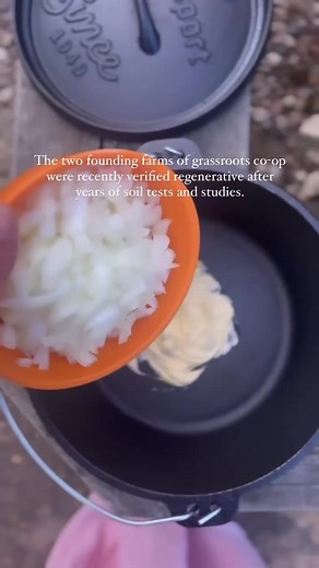 It’s one thing to say we’re regenerative, but now we can say we proved it too!😊 Two of our founding farms, @heiferusa and @fallingskyfarm have been verified by Land to Market and the Savory Institute. It’s a lengthy process to collect and review data to show improvements in soil health, biodiversity, and ecosystem function, but we’re committed to every farm in our co-op gaining verification. Stay tuned! 🌎💚🌿#grassrootscoop #meatwithintention #regenerativeagriculture #regenerativefarming #land