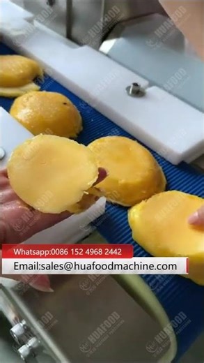 Horizental Mango Cutter Slicing Machine