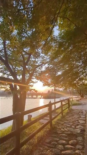 Togetsukyo Bridge is also known as (Moon Crossing Bridge) #kyoto #japan #japanview #japanculture