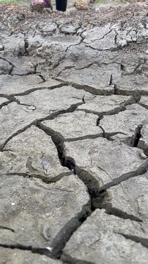 Big Pearl In Shell | Brian Freeman A | Facebook