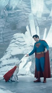 344K views · 4.4K reactions | The inspiration behind the chaotic cuteness of Krypto.  #Superman is NOW PLAYING only in theaters. Get tickets today: link in bio. | Superman | Facebook