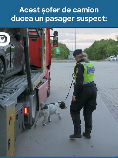 Discovery Channel România pe TikTok