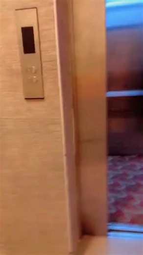 Exploring the Culture of Kano, Nigeria