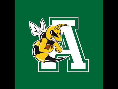 AVISPONES HORMIGUITAS ORO VS DUCKS