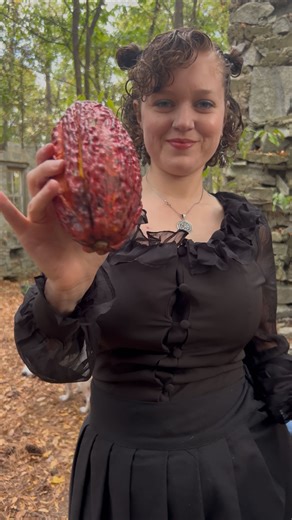 Kris Catalyst on Instagram: "CACAO! Have you ever tried the fruit? This delicious high quality fruit is from @miamifruit! Benefits of cacao fruit include: ~ rich in antioxidants ~ improves heart health ~ boosts mood ~ enhanced cognitive function ~ high in fiber ~ high in iron, magnesium, copper, potassium ~ anti-inflammatory ~ improved bone health ~ promotes open heartedness #Cacao #miamifruit #criollocacao #benefits #sampling"