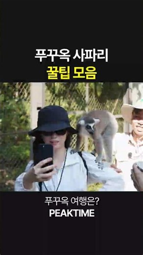 Essential Family Trip Guide to Phu Quoc: The Ultimate Vinpearl Safari Tips Collection.zip