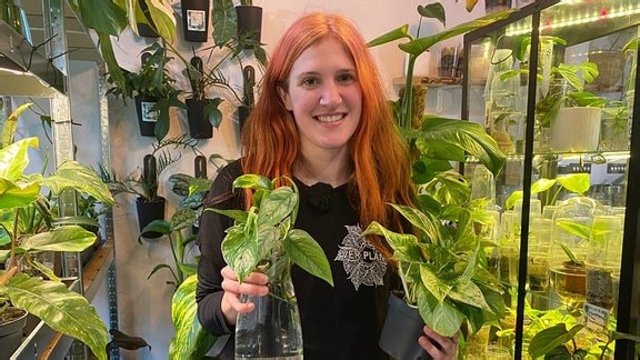 Efeutute: Die unkomplizierte Zimmerpflanze pflegen und vermehren