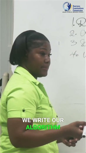 Algorithm Basics: From Definition to Evaluation-5 Steps to Solve Any Problem with Algorithms