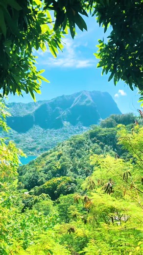 Welcome to my first week in French Polynesia 🌴🌺 #fyp #tahiti #paradise #solotravel #frenchpolynesia