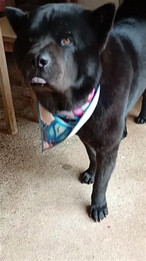 essa turminha é muito top dendê e sua tropa. kkk