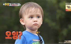 【本特利】刚看到泥鳅的吃特利很怂，知道是白鹳的食物后很大胆啊！哈哈哈饭饭！