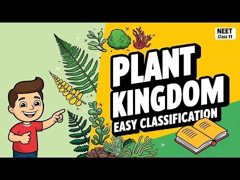 Classification of Protista Explained | Types, Examples, NEET & Class 11 Biology in 10 Minutes