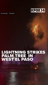 WOAH: A palm tree was struck by lightning during last night’s storms in west El Paso. Send us your weather videos/photos to our Chime In. https://kfoxtv.com/chimein (credit: KINT) | KFOX-TV