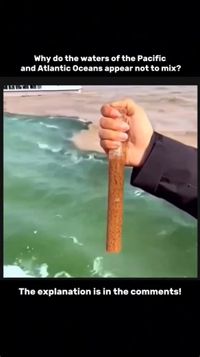 Why do the waters of the Pacific and Atlantic Oceans appear not to mix? #shorts