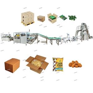 [Hot Item] Automatic Plastic Bag Packing Machine and Secondary Packing Into Carton Packing Line
