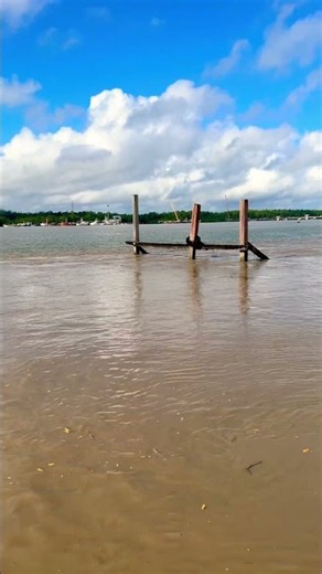 Amazônia & Atlantic Ocean | The Most Beautiful Nature on Earth