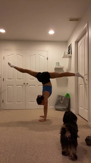 another handstand challenge ft. Bella #handstand #hanstandchallenge #gymnastics