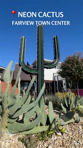 Planning holiday get togethers? Neon Cactus at Fairview Town Center has the space, the food, and the Happy Hours to make your celebrations easy and fun! 🎉🎄 Learn more: https://neoncactuscocina.com/ | Fairview Town Center