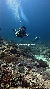 My Biggest Scuba Diving Fail in Havelock (I Destroyed The Reef)