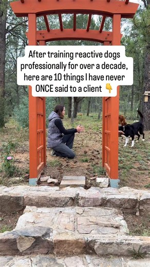 1) “You need to show your dog that you’re the Alpha” 2) “If your dog is afraid of people, just give them a treat to feed to your dog!” 3) “I really recommend getting a second dog to help the first one become more confident” 4) “If you’re using treats in training, your dog will always need bribes!” 5) “Mental stimulation is a good replacement for physical exercise” 6) “Your dog is trying to be protective of you” 7) “Let’s use a clicker and click when your dog looks at the trigger!” 8) “If your do
