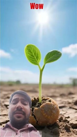 A woman throws a laddu out of a train.At night, rain gives moisture to the laddu on #army #cartoons