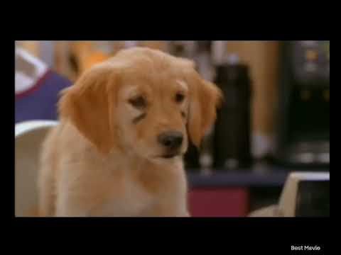 Power rangers DVD 2006